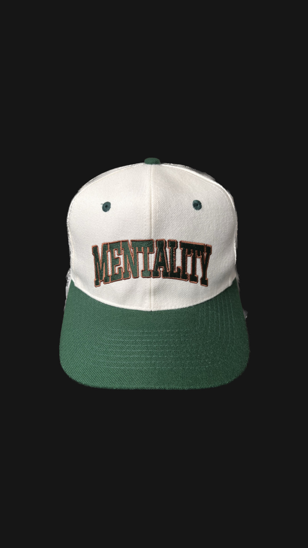 MENTALITY SNAPBACK